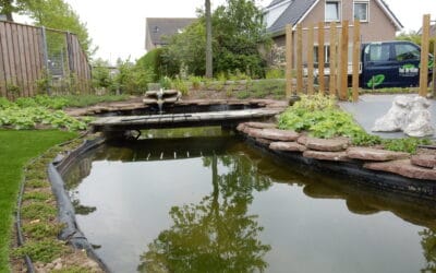 Vijver onderhoud